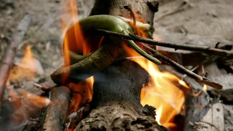 Cooking Peppers In Camp Fire Stock Footage