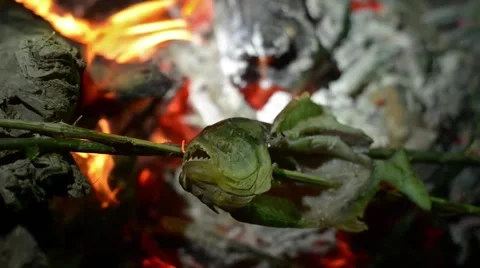 Cooking Piranha Fish on Fire Stock Footage 40402123