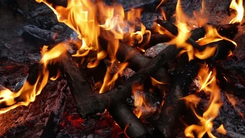 Cooking potatoes over a camp fire Stock Footage 71230363