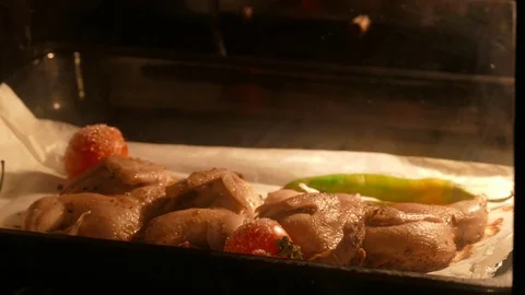 Cooking poultry in the oven Stock Footage 69994358