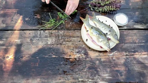 Cooking process two carp for fish dishes. Hands cutting parsley and separating Video stock 140370333
