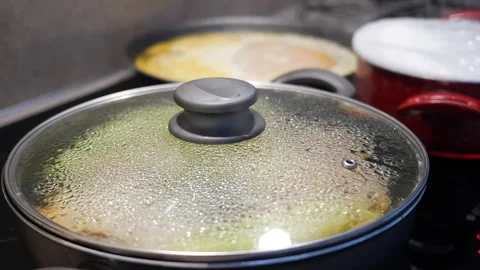 Cooking process of vegetable stew in large pan with steam rising under glas.. Stock Footage 332626815