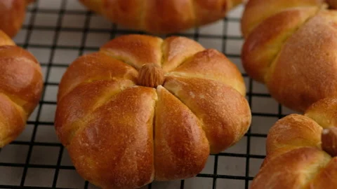 Cooking pumpkin buns. Ready pumpkin buns on a wire rack, close-up. Autumn Stock Footage 147044938