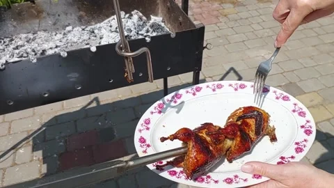 Cooking quail on a spit Stock Footage 276435854