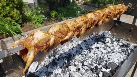 Cooking quail on a spit Stock Footage 276436072