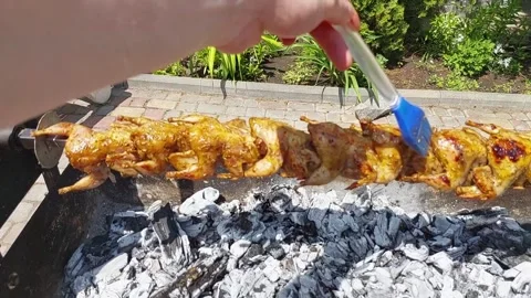 Cooking quail on a spit Stock Footage 276436108