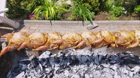 Cooking quail on a spit Stock Footage 276436181