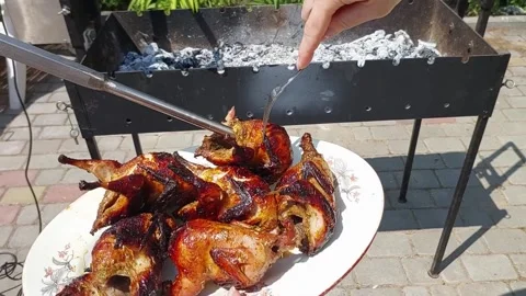 Cooking quail on a spit Stock Footage 276436206