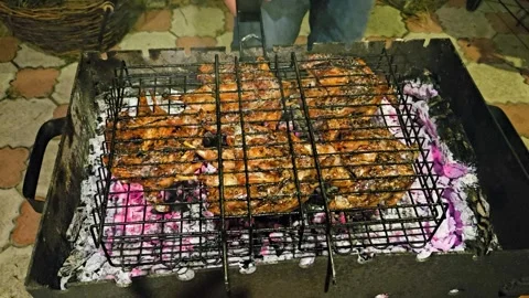 Cooking quails on the grill Stock Footage 298024169