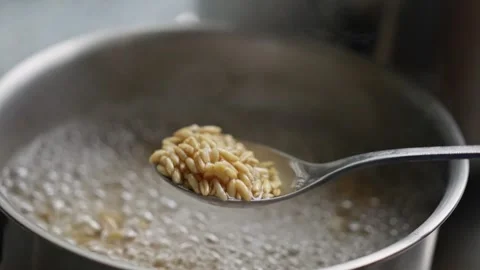 Cooking Rice A Detailed StepbyStep Process to Perfectly Boil Water for Rice Stock Footage 308822204