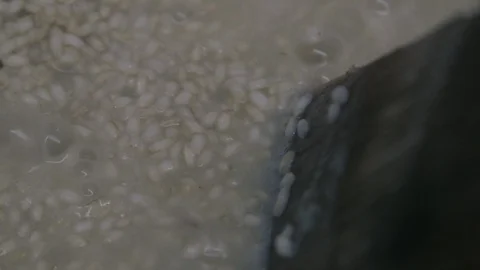 Cooking rice in a pot Stock Footage 87749556