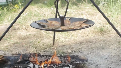 Cooking river fish on a campfire during a hike Vídeos de archivo 144682419