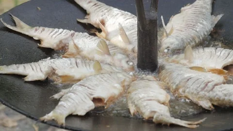 Cooking river fish on a campfire during a hike. Close up shot Vídeos de archivo 144683291