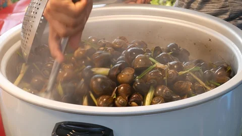 Cooking river snails, Exotic Thai food Видео 107727341