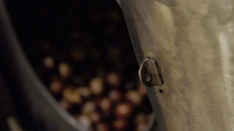 Cooking Roasted Chestnuts Stock Footage 117351450