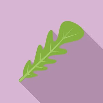 Cooking rucola icon flat vector. Arugula vegetable Illustrazione stock