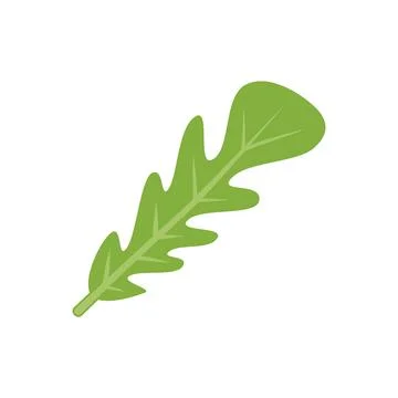 Cooking rucola icon flat vector. Arugula vegetable Illustrazione stock