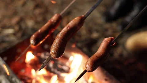 Cooking sausages by the campfire Stock Footage 70800325