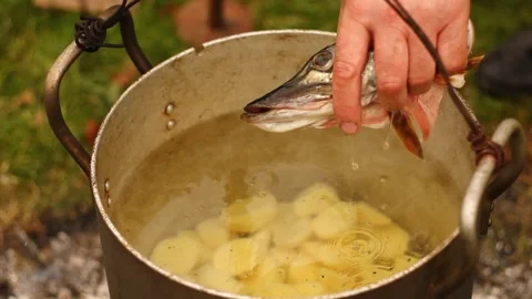 Cooking Soup on a Campfire Stock Footage 234809436