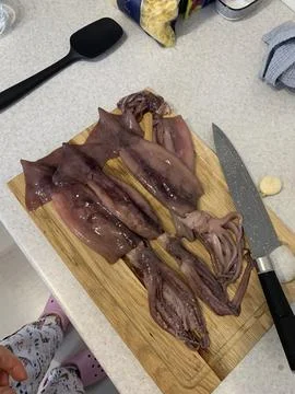 Cooking squid Fotos de archivo