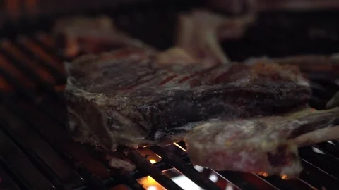 Cooking a steak on a barbecue Stock Footage 221363299