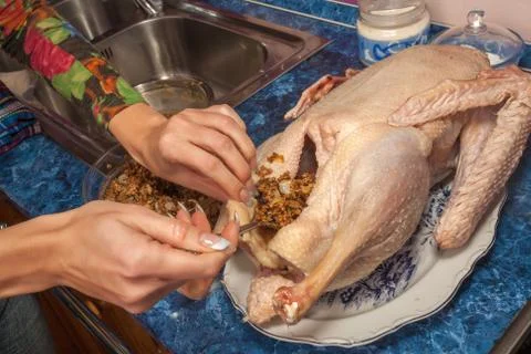 Cooking stuffed chicken Stock Photos