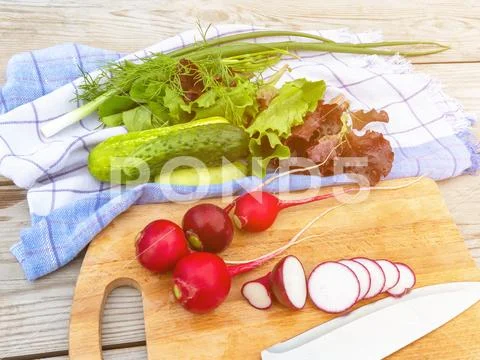 Cooking summer vegetable salad. Cutting radish close-up Stock Photos