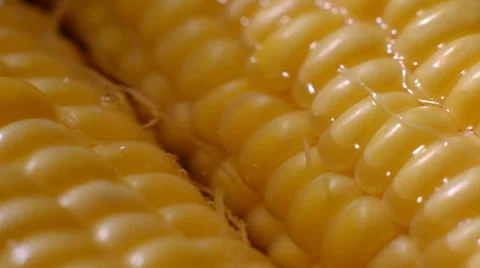 Cooking sweetcorn Stock Footage 39562755