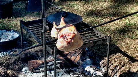 Cooking a turkey Stock Footage 32844250
