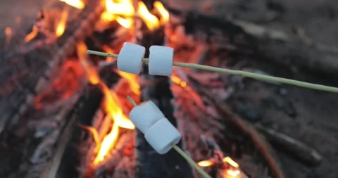 Cooking two marshmallows over the campfire at night Stock Footage 132816159