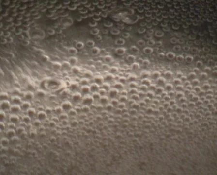 Cooking water Stock Footage 345509