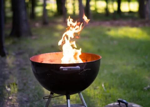 Cookout Stock Photos