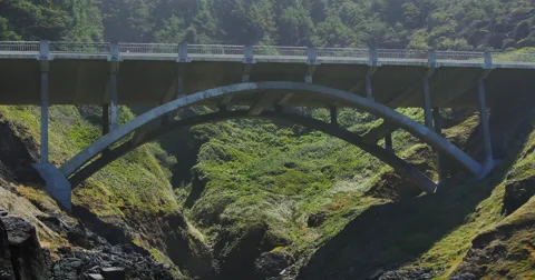 Cooks Chasm Bridge Coastal Oregon 库存影片 44280101