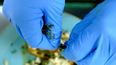 Cook's Hands in gloves adding spices to grilled pears Stockbeeldmateriaal 118578208