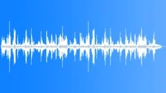 Cooks Petrel CU Calls Sound Effect