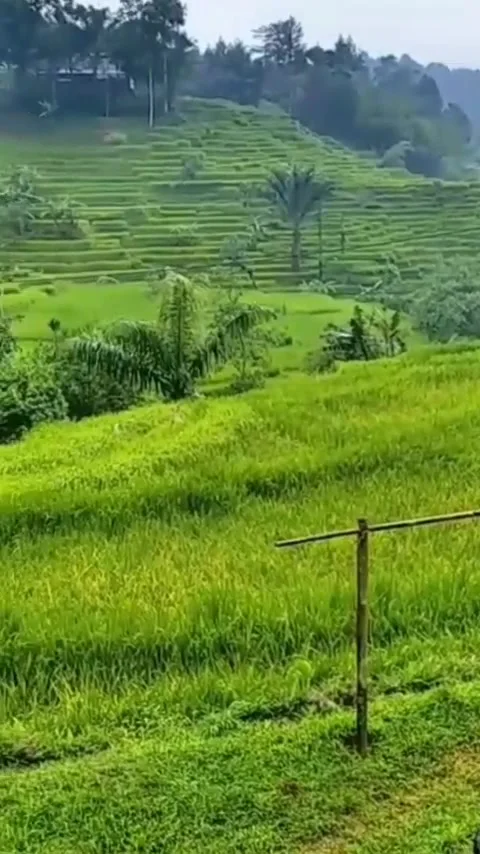 Cool and calming Stock Footage 307267019