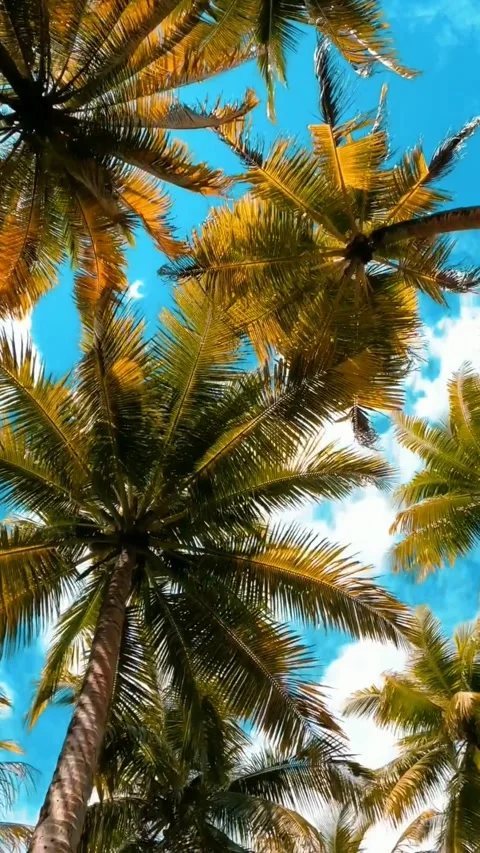 Cool atmosphere Stock Footage 242308793