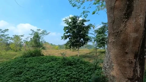 Cool atmosphere on hills Stock Footage 212946441