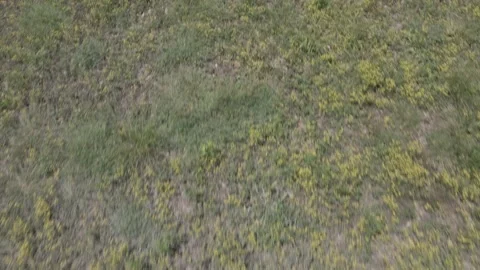 Cool Background Layer Effect 1 库存影片 156563938