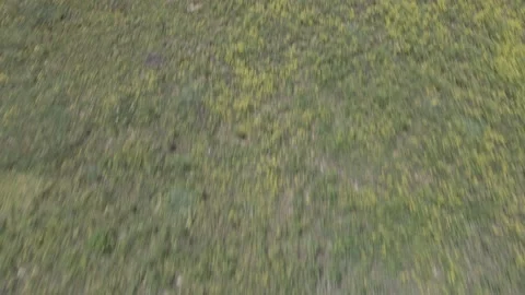 Cool Background Layer Effect 库存影片 156563923