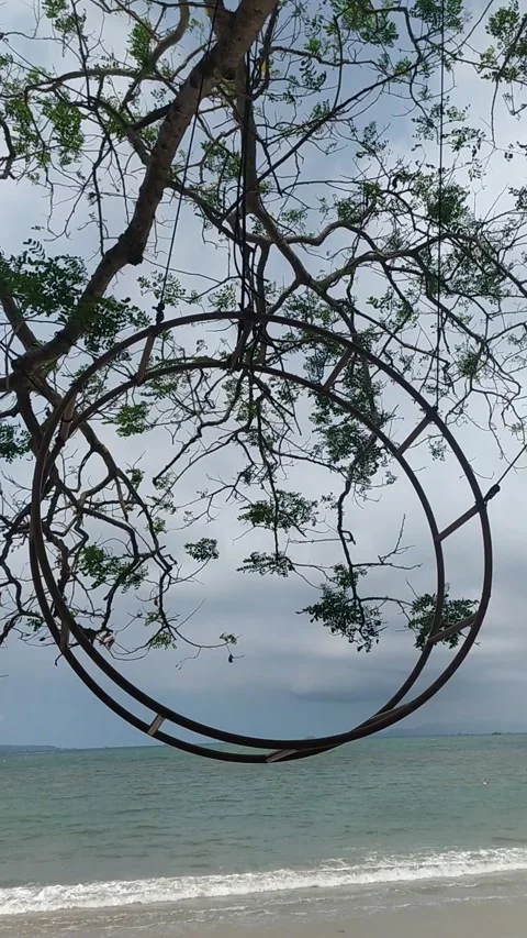 Cool beach breeze Video stock 233316186