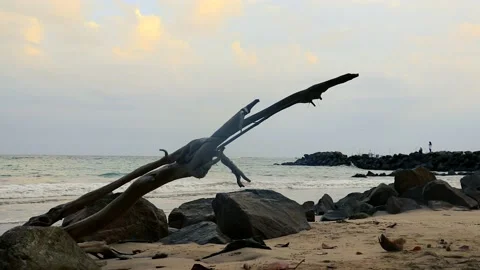 Cool beach waves ocean Vídeos de archivo 239470945