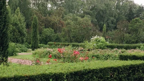 Cool beautiful park area with flowers paths and trees. General plan shooting Stock Footage 224048383