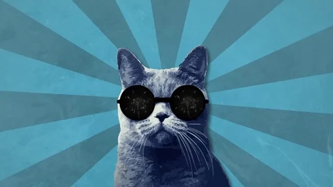 Cool Cat with Firework Sunglasses and Sunburst Stock Footage