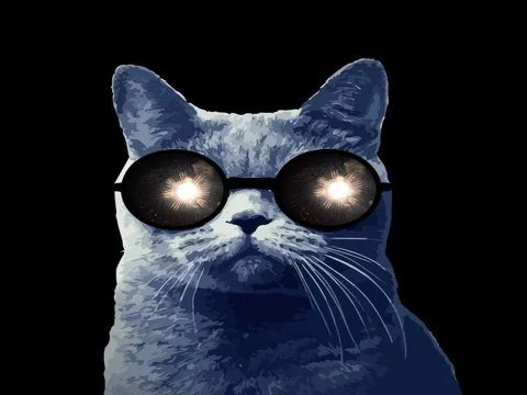 Cool Cat Stock Footage 83941056