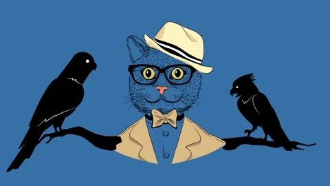 Cool Cat Vidéo 250354694