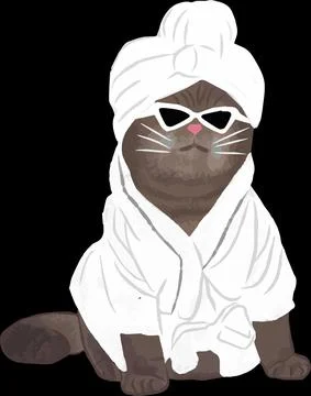 Cool Cat Vector, Brown cat in funny style, Art Hand drawing Stock Illustration