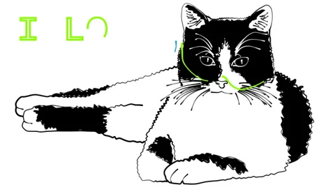 Cool Cats &amp; Glasses - Two (HD) Stockbeeldmateriaal 37209800