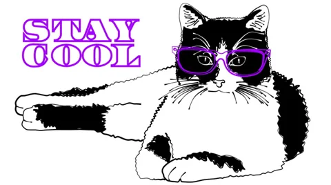 Cool Cats - One (HD) Stock-Footage 36866060