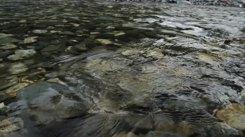 Cool Clear Alaskan Stream Stock Footage